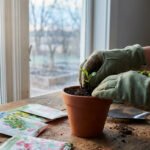 Manos enguantadas trasplantan un pequeño brote verde a una maceta de terracota en una mesa de madera, con paquetes de semillas y una ventana borrosa que muestra un jardín invernal.