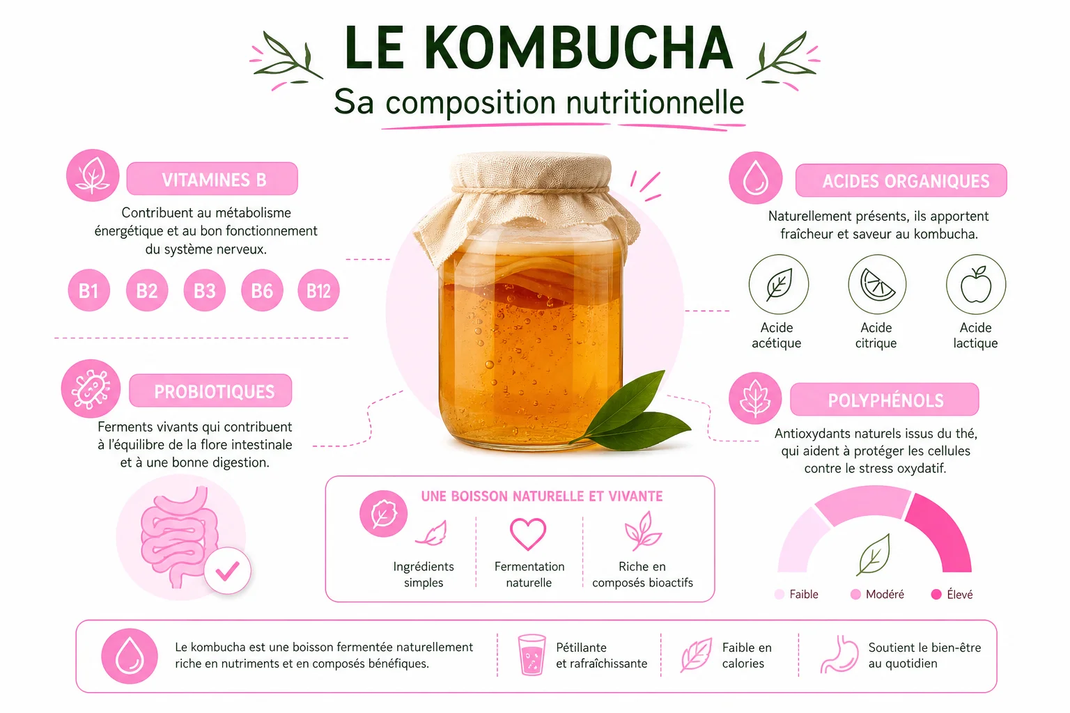 infographie composition kombucha bienfaits vitamines et probiotiques