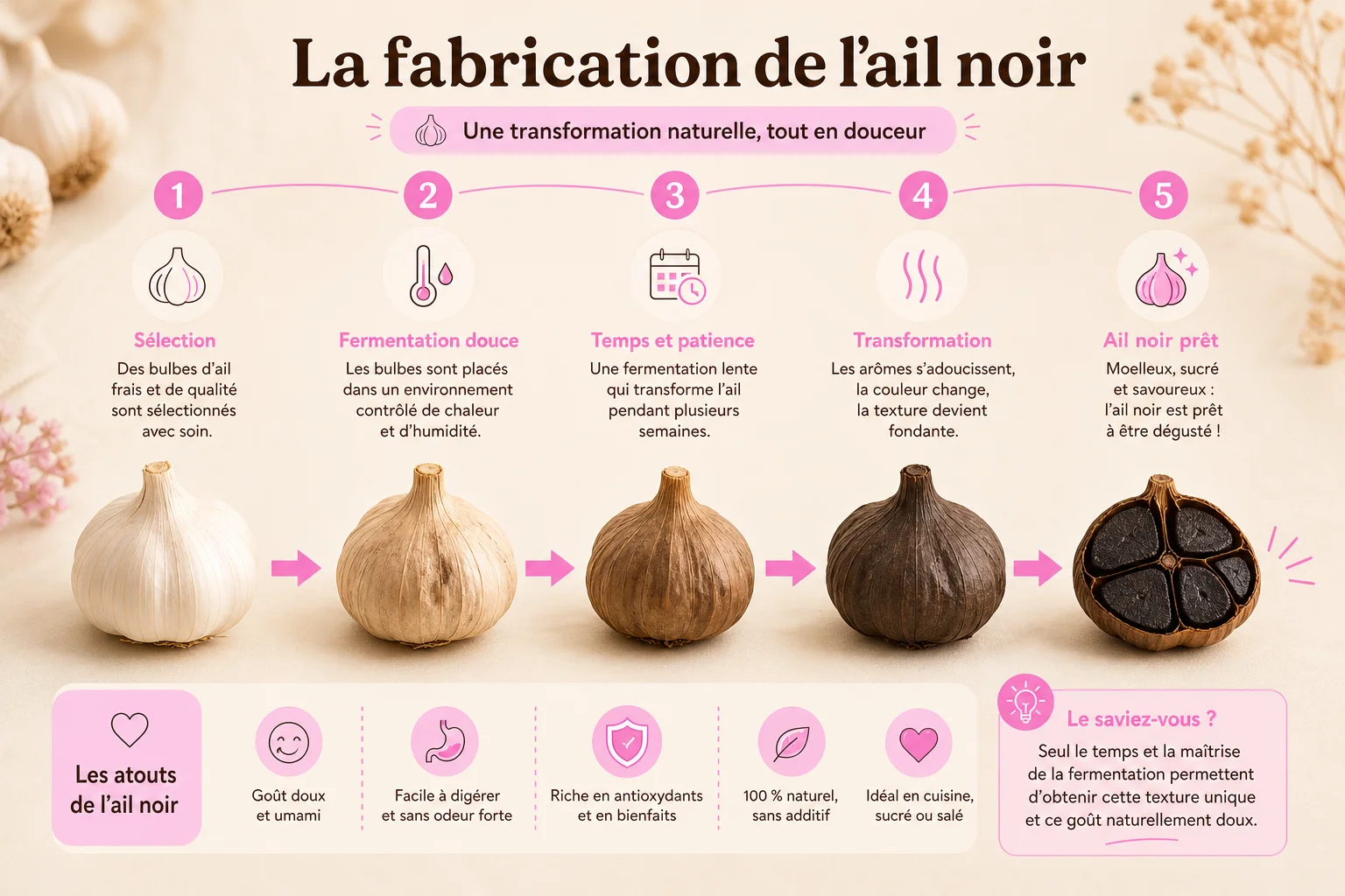 étapes de fermentation pour fabriquer l'ail noir bienfaits et méfaits